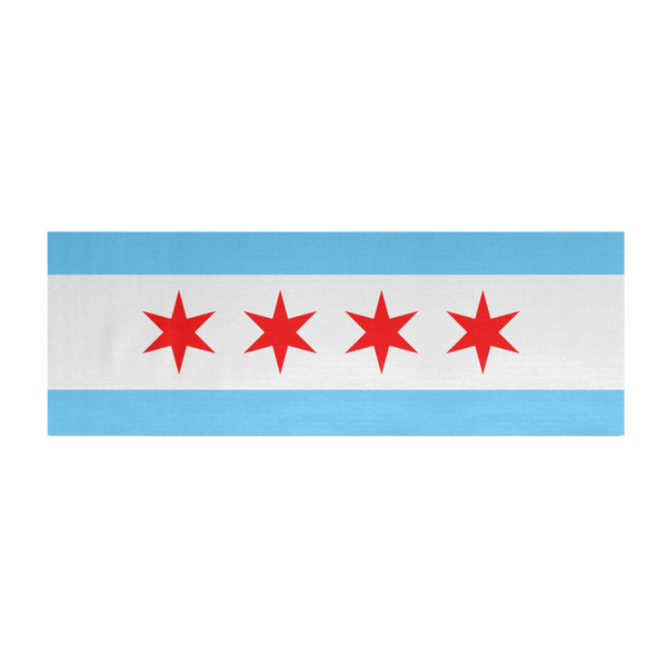 chicago flag vector