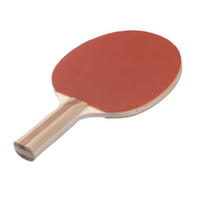 Custom Ping Pong Paddle